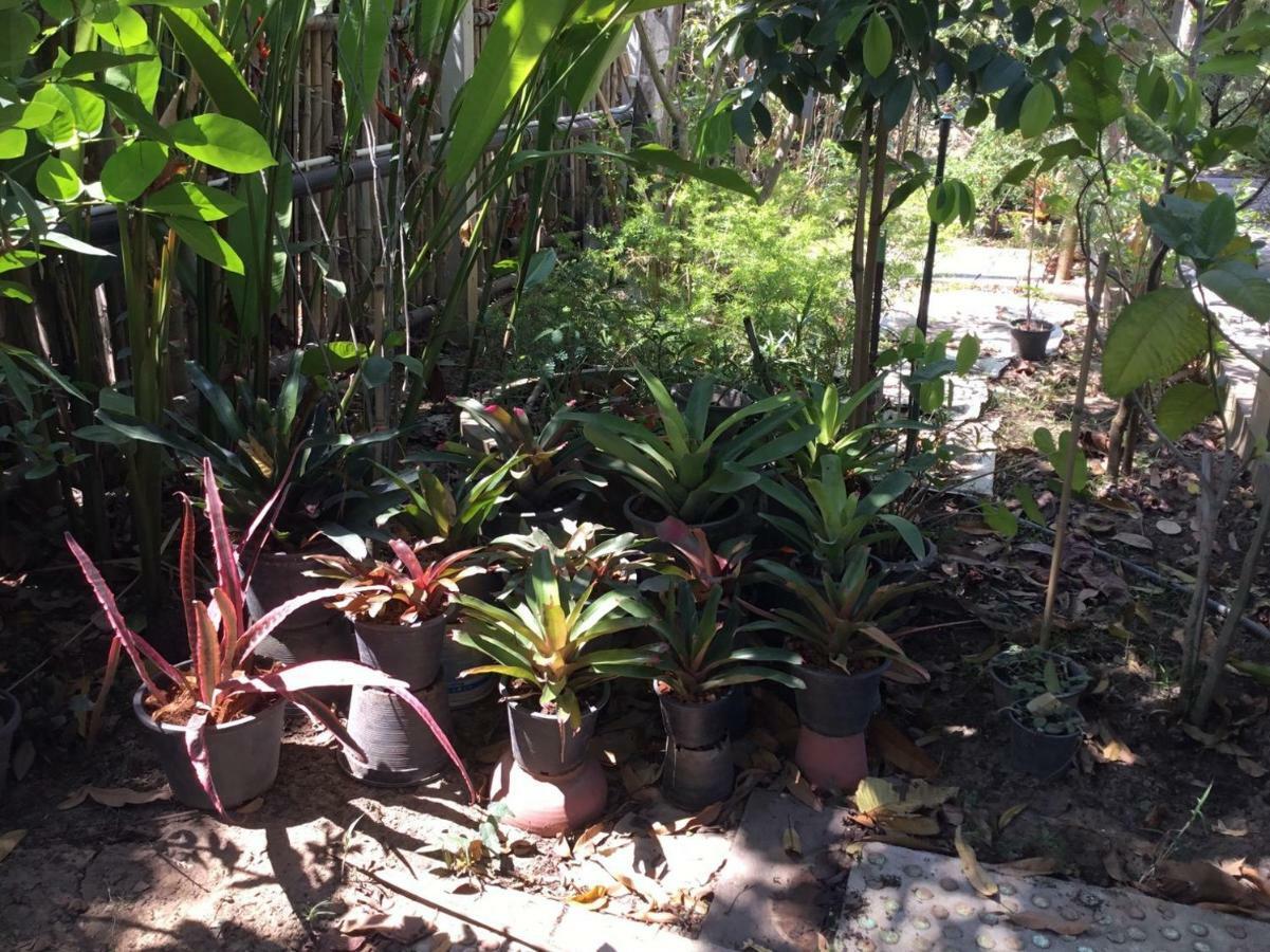 Rustic​ Charm​ Suphan​ Ban Tha Pong Buitenkant foto