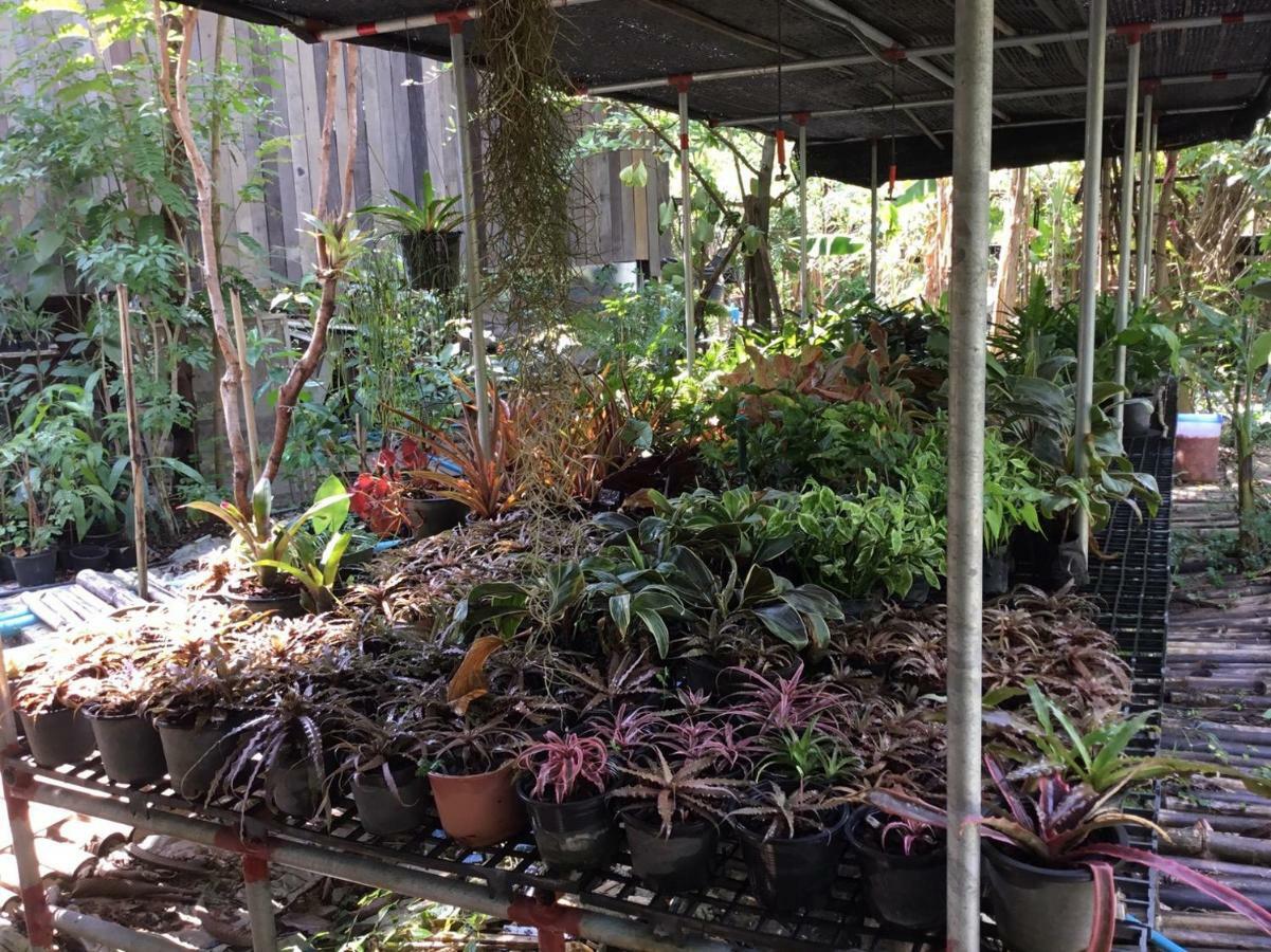 Rustic​ Charm​ Suphan​ Ban Tha Pong Buitenkant foto